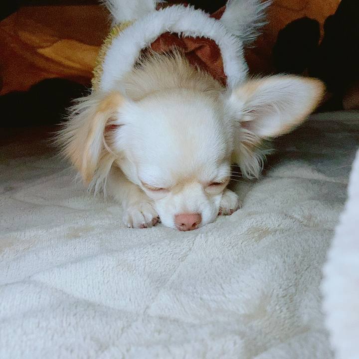 289eb912 fd7d 47d5 ba1c 982da906bca0 1609971368337