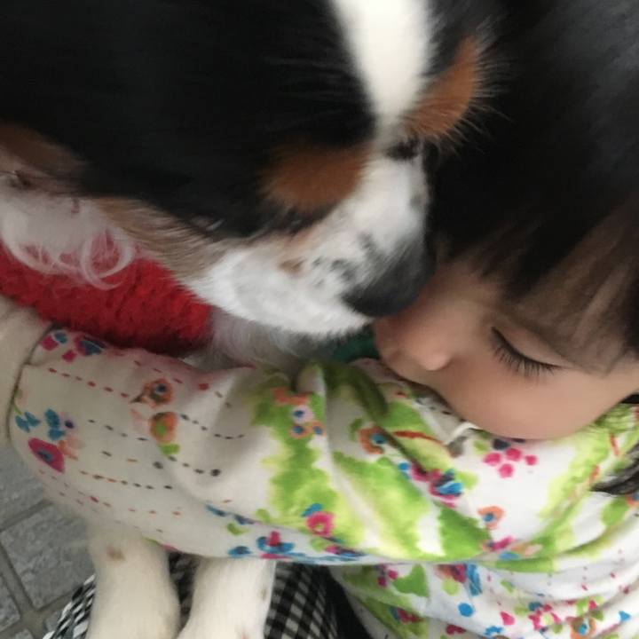 289ec7a5 6f03 46f0 aa37 b3ac1bf3b6ed 1514434949283