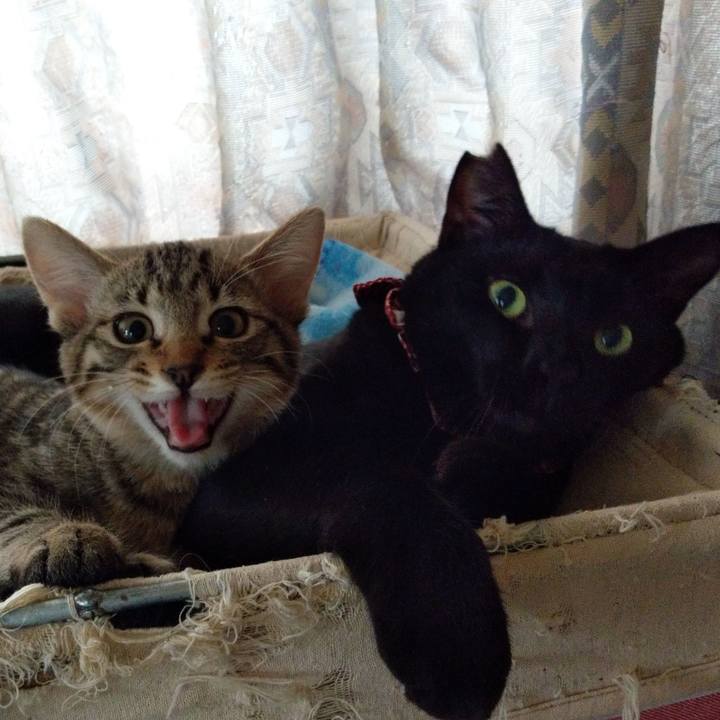 289eea46 0c0c 4ec0 ae57 115d4e15e736 1574756150912