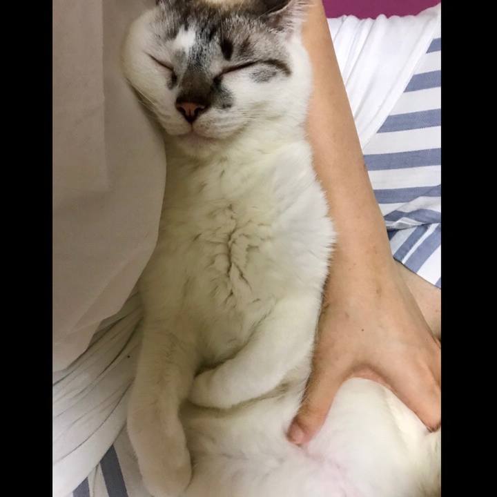 289eece9 f470 4b1a b76b 877f72556e20 1528274641317