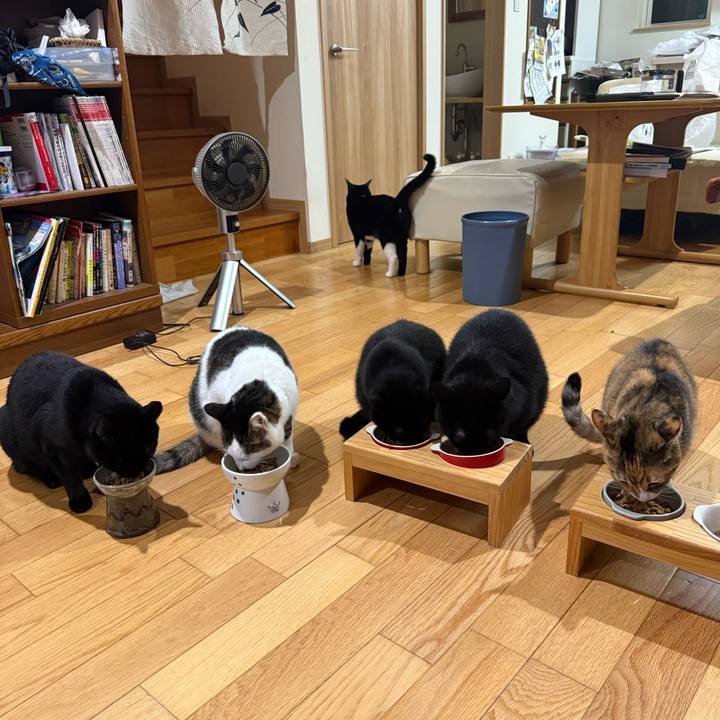 289efb94 47b4 4b28 80d4 51656e3ae355 1763258842252