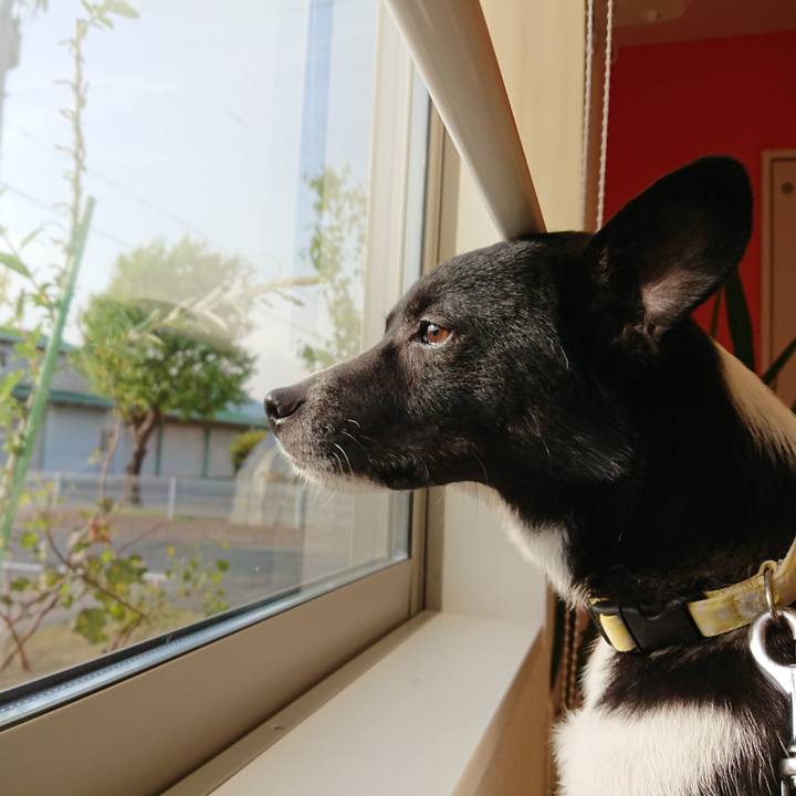 289eff89 bba4 4087 8f1b 006615ee3ab0 1525161461362