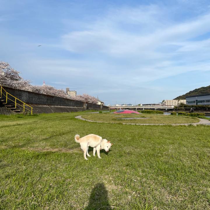 289f7d3a 0fdf 4c53 bb19 c93e9085a95e 1649177365886