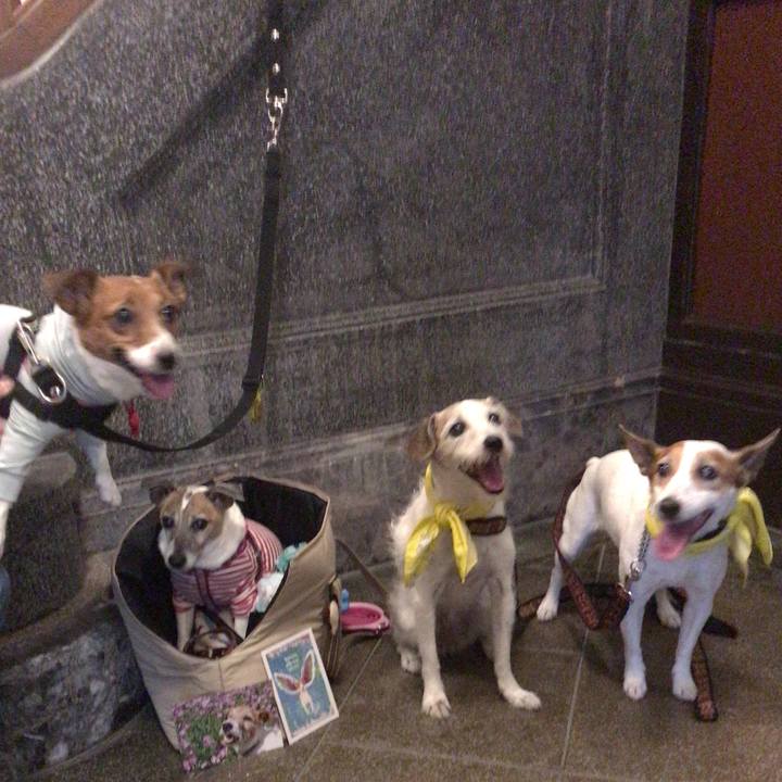 289f8a26 4ff8 4c94 ac13 35667f64a736 1524583619542