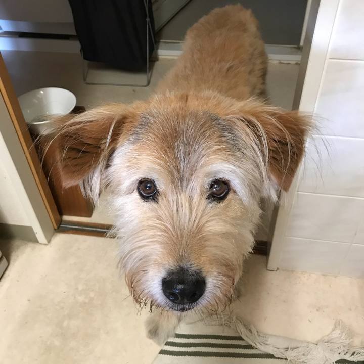 289fded9 d5e5 4a0e bfe1 4c8fa076bd2d 1530775536523