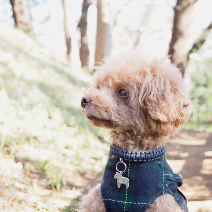 28a002af 559f 4618 9dfc 764b6d9787d4 1521971891373