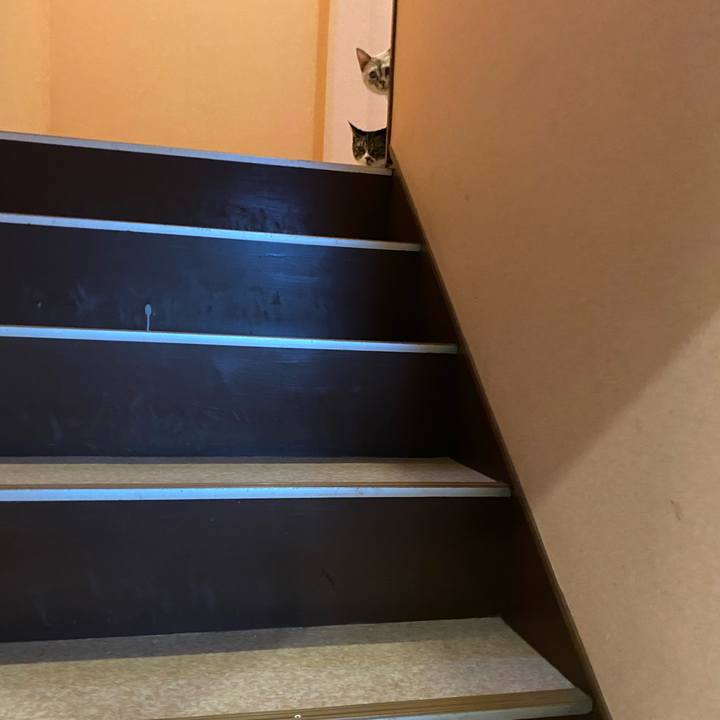 28a01024 2fca 444b 8d66 f0918357e6cf 1694079576124