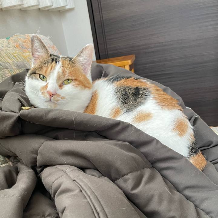 28a022bd b469 4741 a139 7671f988718d 1642916537861