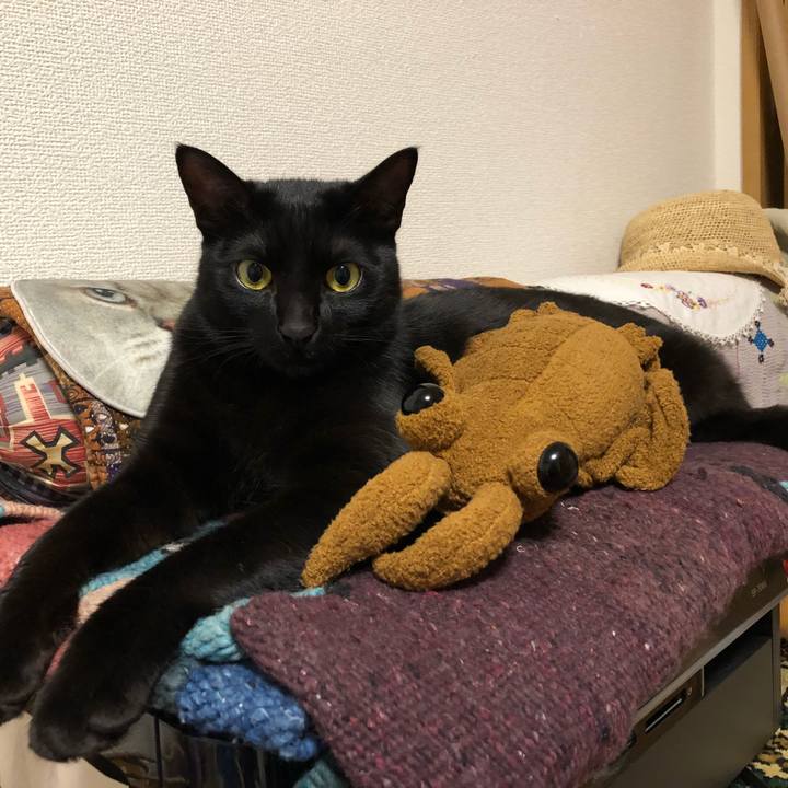 28a0382a 5755 48ef 80f4 cec2dc9eb6c9 1518696454927