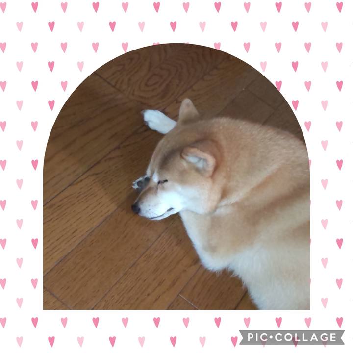 28a06061 14c9 4d73 88d1 d7d1a37fffa1 1726111692626