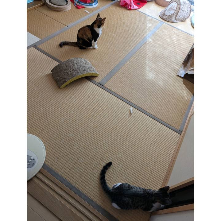 28a071a8 24e4 4938 a055 6328464dc278 1726210183602