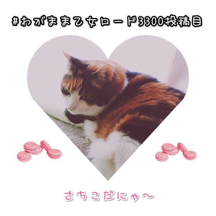 28a092a1 a705 4a57 b955 26db00c5672d 1586595264408