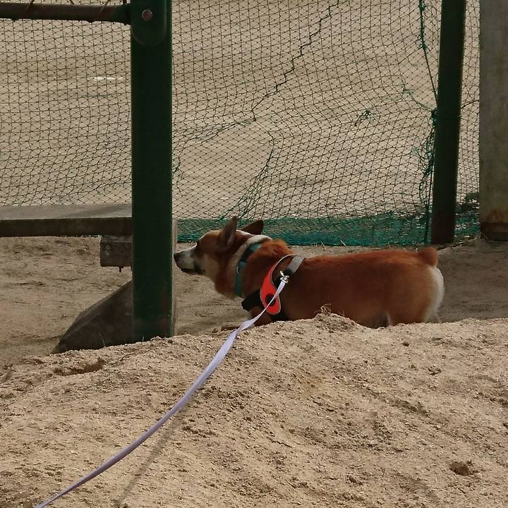 28a09fcd 12fb 4f0e 8a1d 83782955dadd 1676123909149