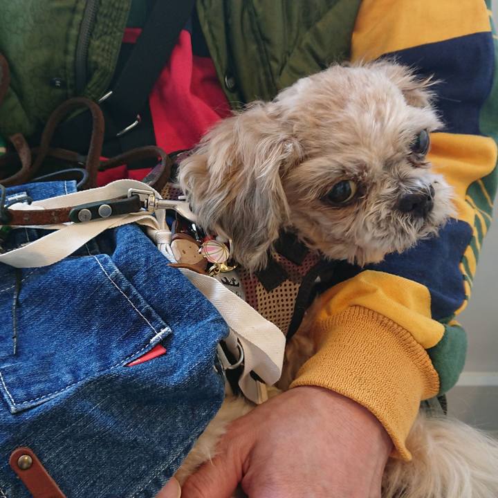 28a0a433 c53d 44af a289 2bedf17fb5c2 1531664230272