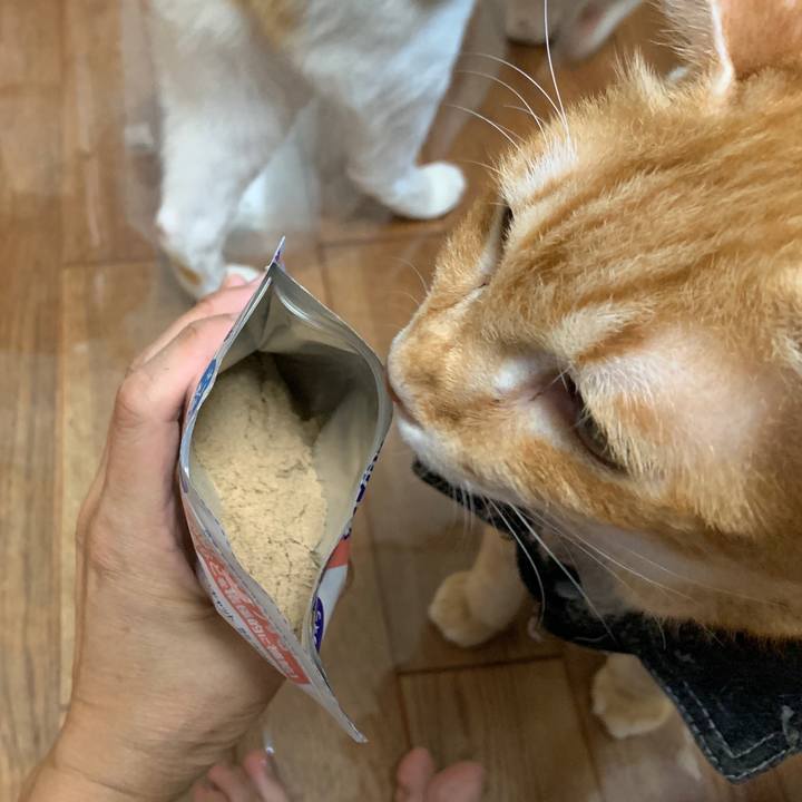 28a0b93d 6678 4ea9 9348 220efff1402d 1661600949263