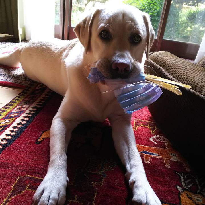 28a0fa6a 26ea 4df3 ba8d 0b4344b86e74 1530098864453