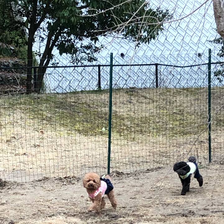 28a1590d 6be6 444b 9dce 6fa1da5d42f6 1583146908063