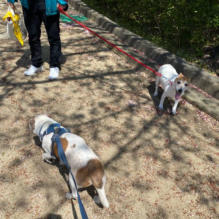 28a16a31 a6b9 498e ada7 be37fbe7e887 1681042482831