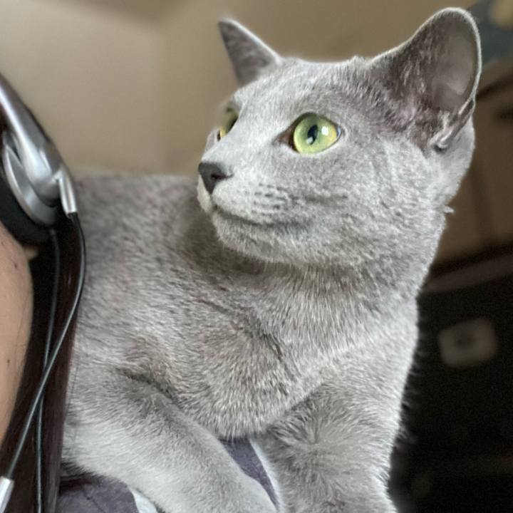 28a1b037 dfb9 4127 abed 445011329520 1619054582082