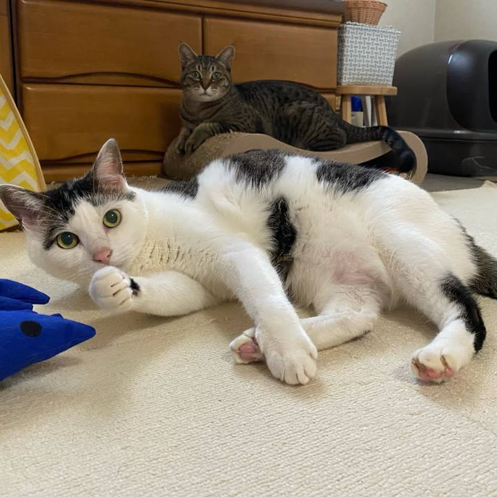 28a1b4e9 b8aa 4aa8 a96c 6ca5a8f759c9 1768287790047