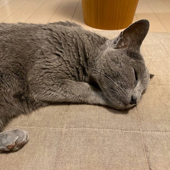 28a1b684 62b7 4edc b196 1bdf2a61152c 1603029161176