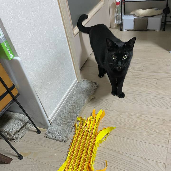 28a1cb78 5b1b 4362 8783 50de7a0c2bd5 1681127783982