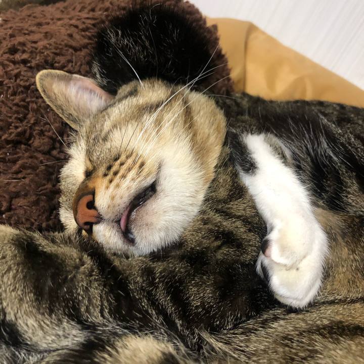 28a1fdfd 7cf4 41c6 923c 531c5d96d68f 1616359943244