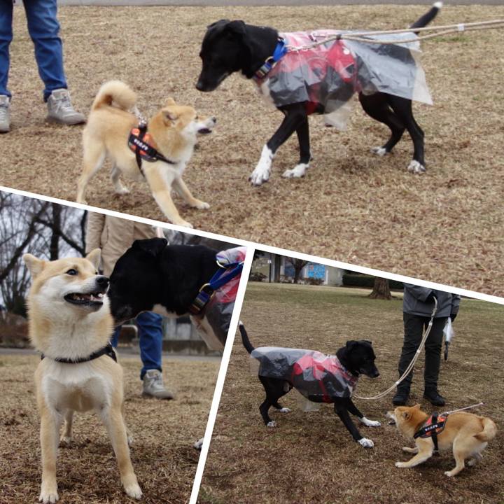 28a21f35 67ba 4d19 b544 691a6573fead 1646700241749