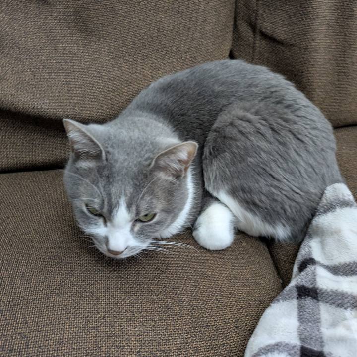 28a2606c 6956 45b8 be89 3461154ceb80 1770085869784