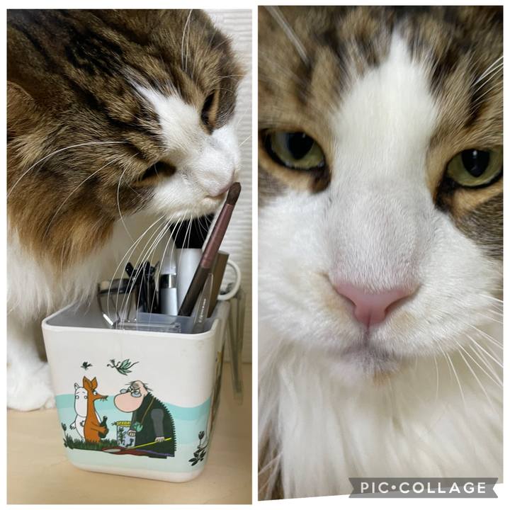 28a26d78 2263 45a9 a865 380df807864d 1757714861828