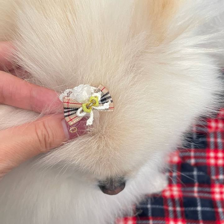 28a27323 eb00 4feb 881c 0678b7d95616 1637365297847