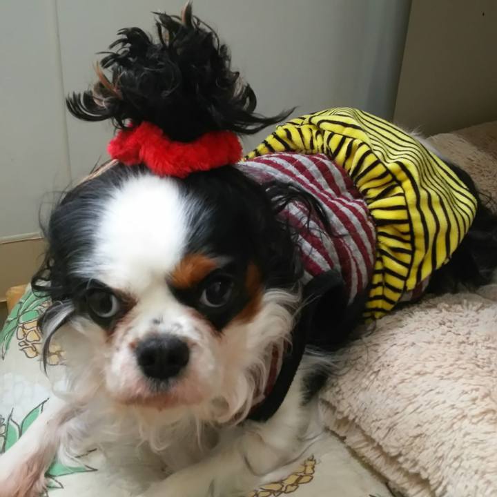 28a27926 9fb8 45fb 98a9 5cb76480a78f 1580667254048