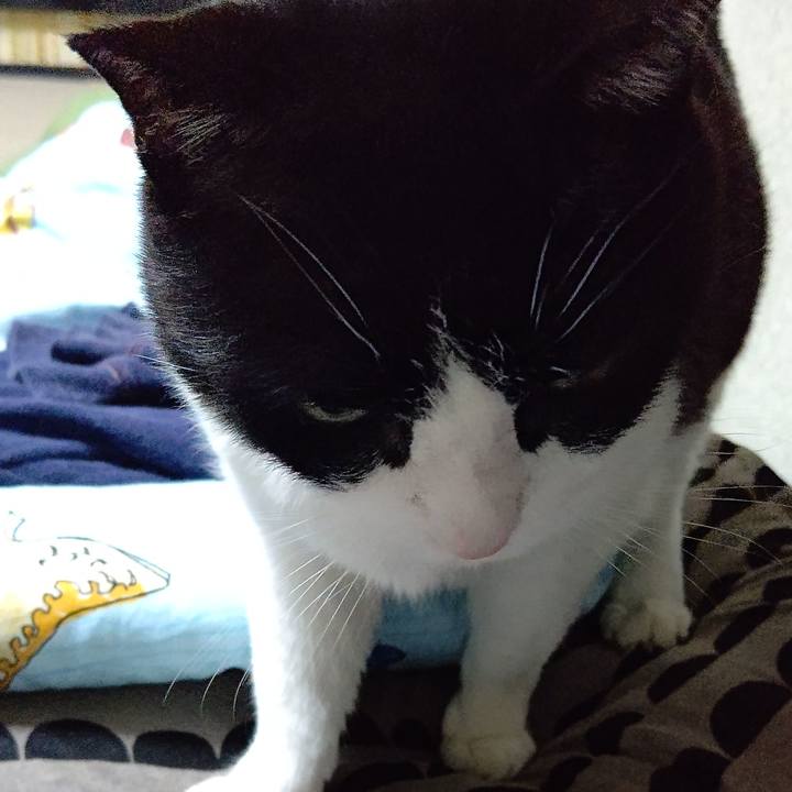 28a290cb b4b8 4ed5 aca6 d80cd0f9562e 1650189086988