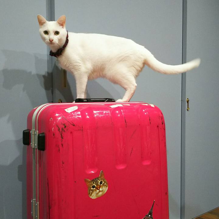 28a2cba1 cdb3 4b48 8a9b c32929d5ebb0 1565532283603