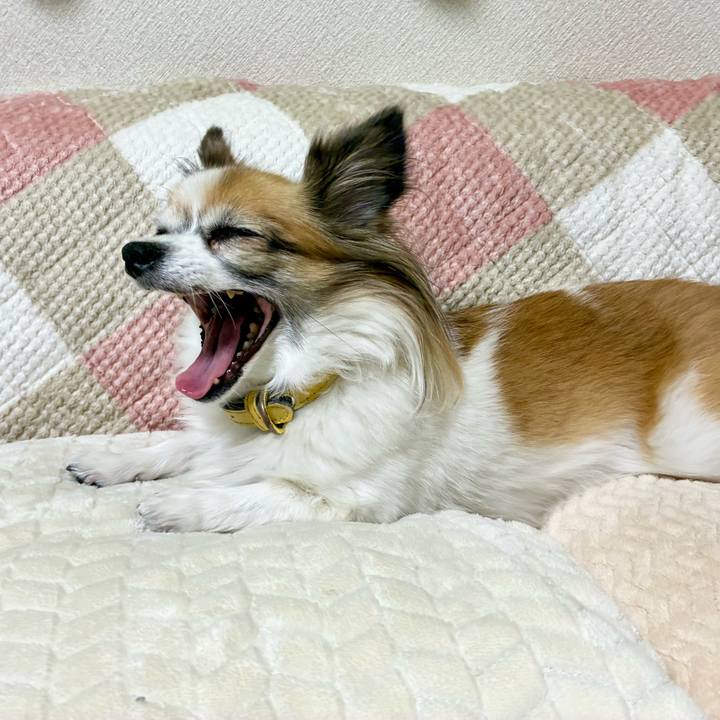 28a30558 69ae 4613 9ba8 91f1fe4fb7c9 1763482351768