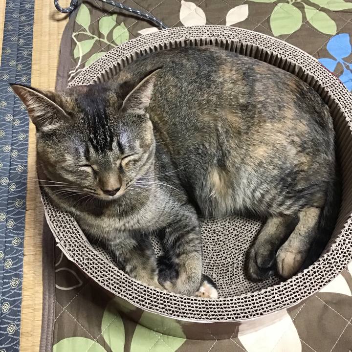 28a33324 5ad3 4da6 9d9e c0d9e5bd58b4 1602896020343