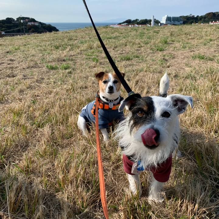 28a34867 757a 4c58 875a b783bc5b2690 1635987737412