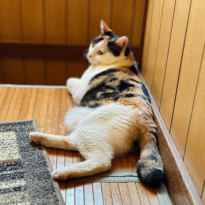 28a37756 084b 4a32 98b0 cf5158303b93 1726449615747