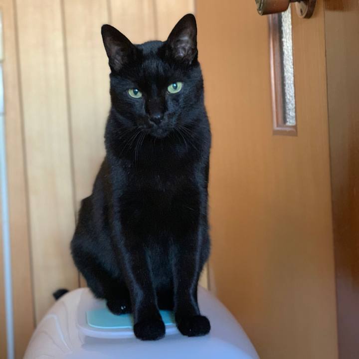 28a3bc6a f48f 4854 88e3 b28bd5151667 1542070066969