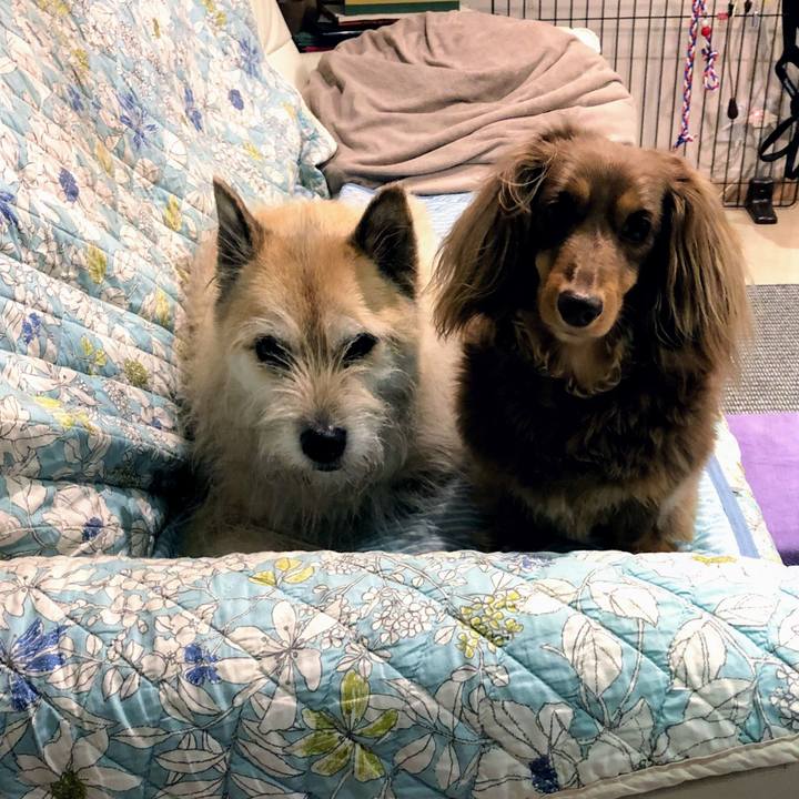 28a3c176 f754 41cd 98b6 5441b7cd8933 1559917997421