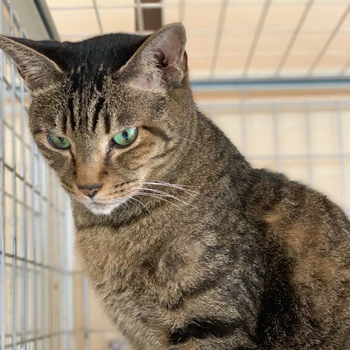 28a3e515 265d 4265 8389 d969429a2687 1538270456615