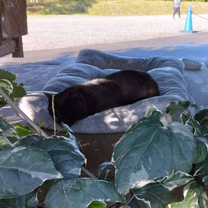 28a4084a d597 45d1 9d20 95a81ceb6c14 1667473497134