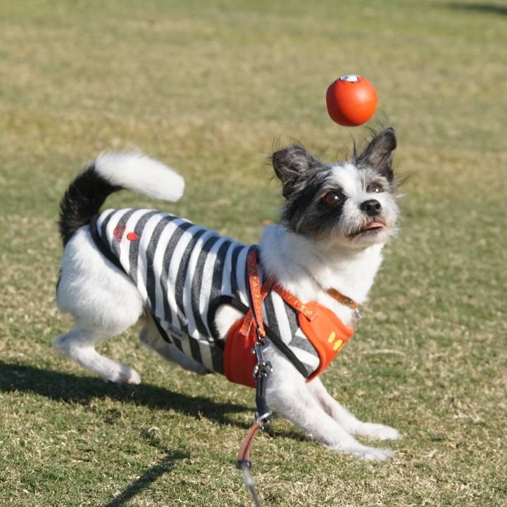 28a44a1c 93d6 4f1e 99d2 4b88d38e6aaf 1698332154483