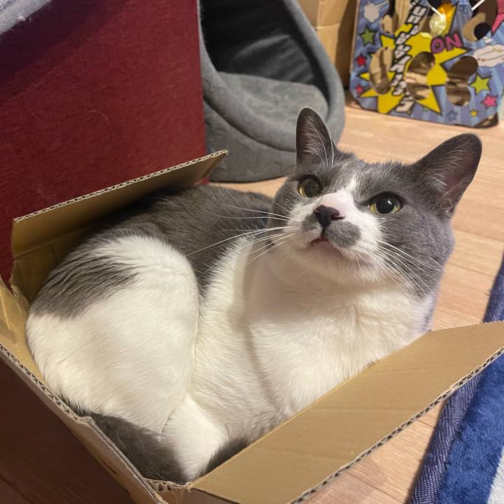 28a45b47 6036 4786 a3a8 e01ba8d5dc8a 1647169936195