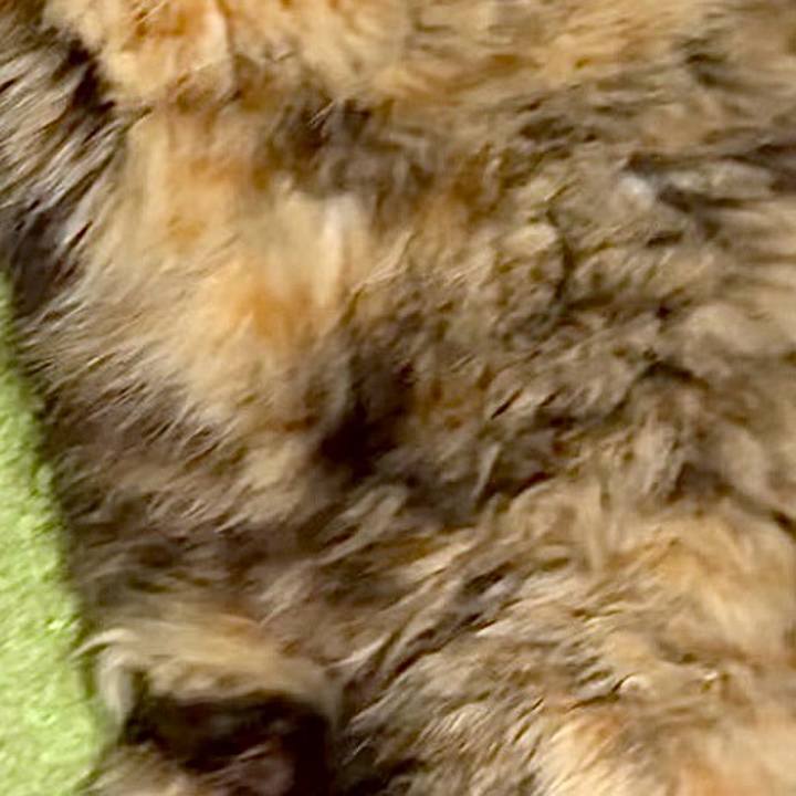 28a48179 db3a 49d3 bb5b 7bf32676a8bf 1748175911847