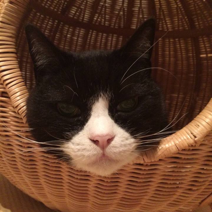 28a4b14f d811 4395 b1fa 98e0be1d3fc2 1557324482143