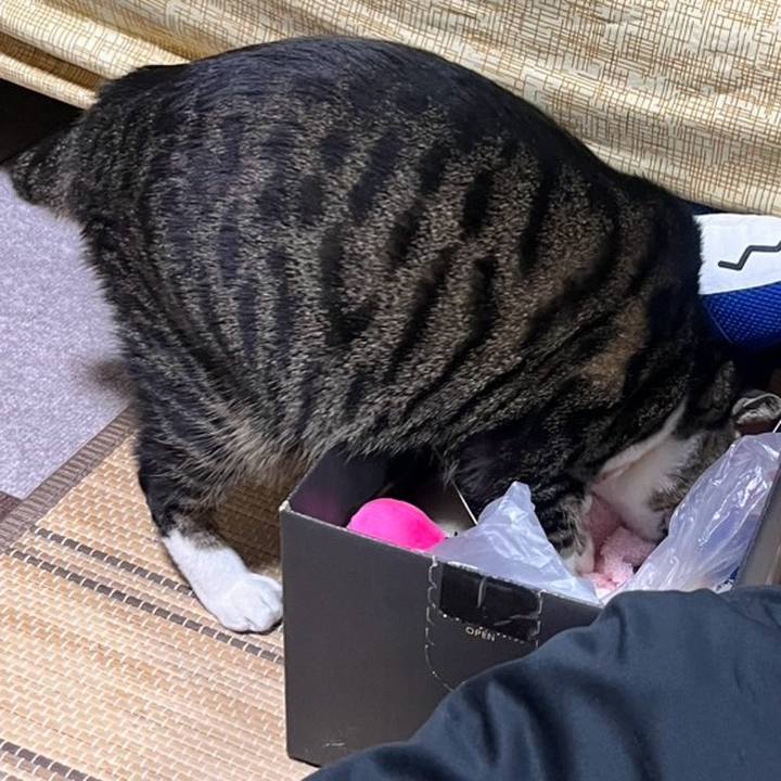 28a4c808 97fd 441d a236 d57d5b65bfcf 1772408569461