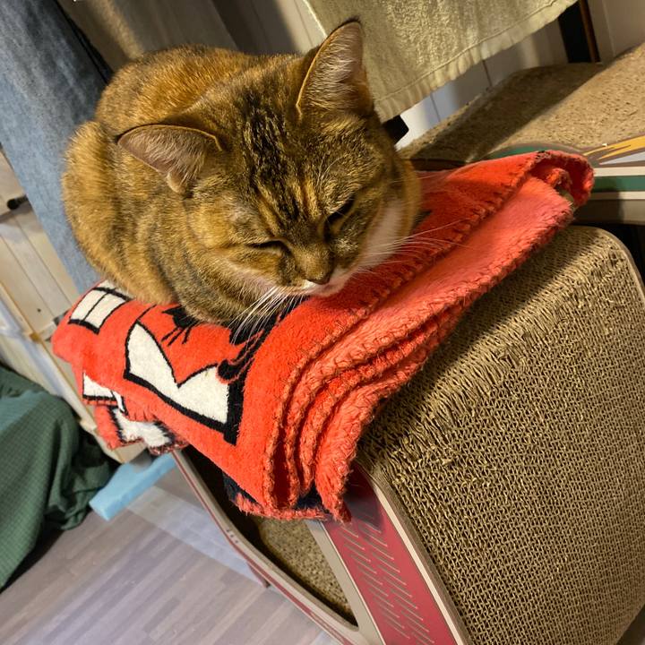 28a4f653 a7bc 4ae1 8307 f57ae73d04a1 1637099263090