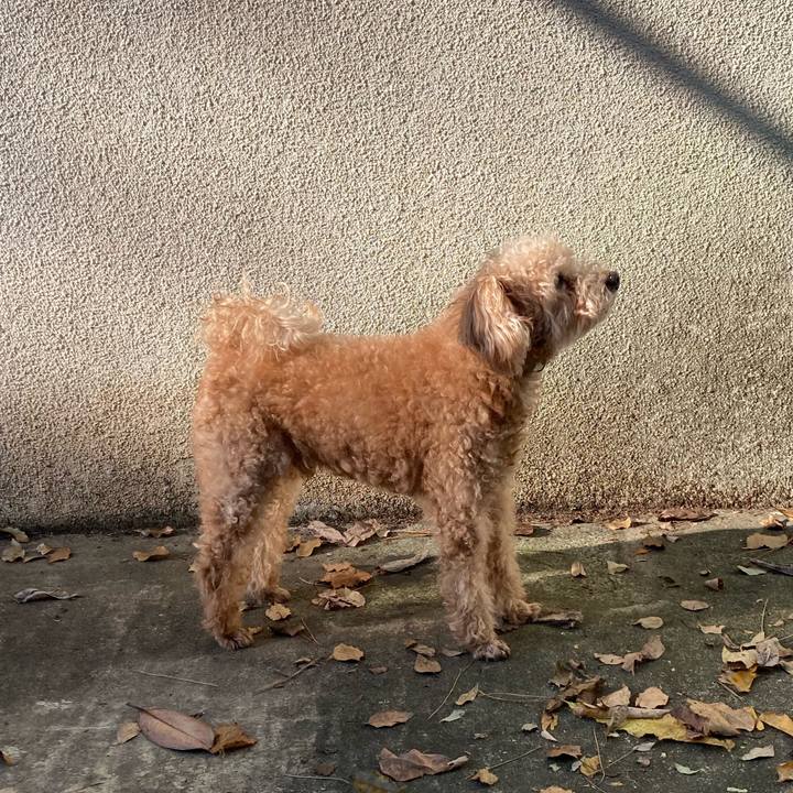 28a4fbdb b605 4191 af77 9632649afb38 1604209586674