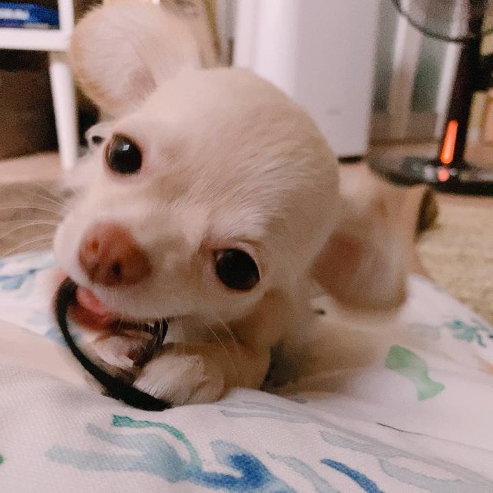 28a51175 b45c 45d7 9836 020b65d229d3 1596920345190